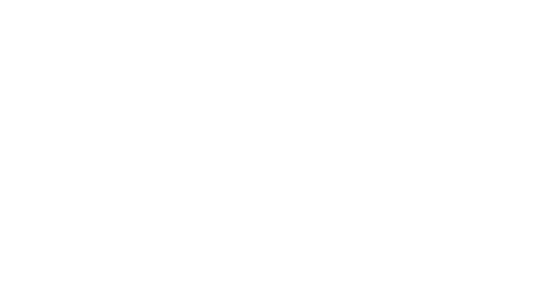 International SEO Consulting